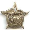 29° Régiment de Tirailleurs Algériens  Levant , croissant, lion et aigle sur étoile à fond évidé