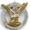 3° RTM, cercle aluminium, aigle cuivre, attache remplacée