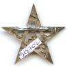 4° Régiment de Tirailleurs Marocains , estampé, manque 1 anneau