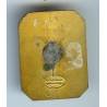 7° Rgt de Tirailleurs Marocains, 30x40, sans attache