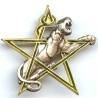 8° Rgt de Tirailleurs Marocains, étoile, dos argenté