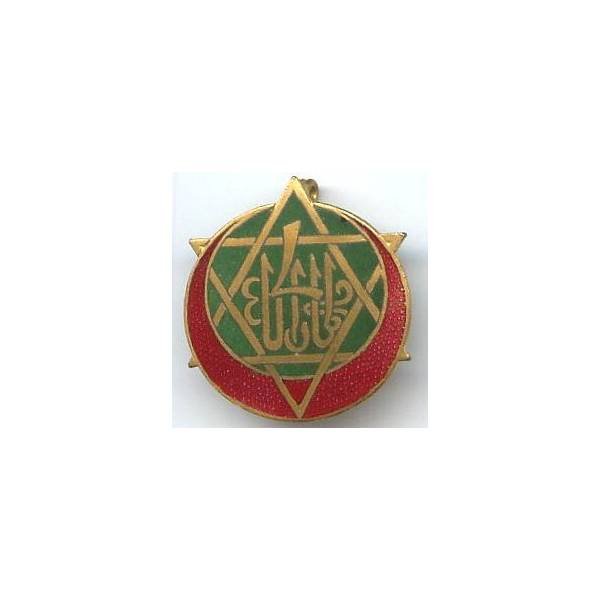 4° Régiment de Tirailleurs Tunisiens , vert fonçé, rouge translucide, patiné