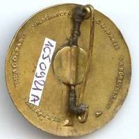 6° Régiment de Tirailleurs Sénégalais , rond, petite ancre à plat, attache un peu déformée, patiné