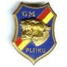 Garde Montagnarde de Pleiku