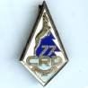 77° Cie de Réparation Divisionnaire, émail, attache recollée