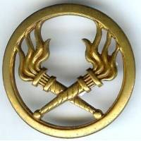 Insigne de bérêt Service...