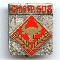 608° Groupe Mixte des...