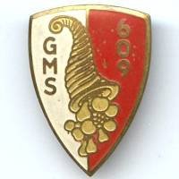 609° Groupe Mixte des...
