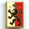 8° Division d' Infanterie, résine, pastille oblongue