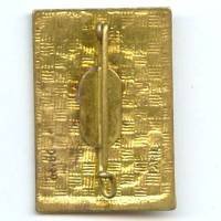 8° Division d' Infanterie, résine, pastille oblongue