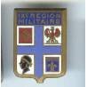 IX° Région Militaire, émaillé, dos lisse