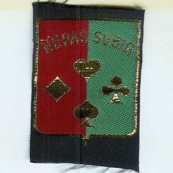 14° Division d'Infanterie , "ne pas subir", tissu brodé