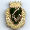 21° Division d'Infanterie Algérienne
