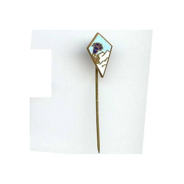 27° DI Alpine, miniature, épingle de cravate 10x19, émail