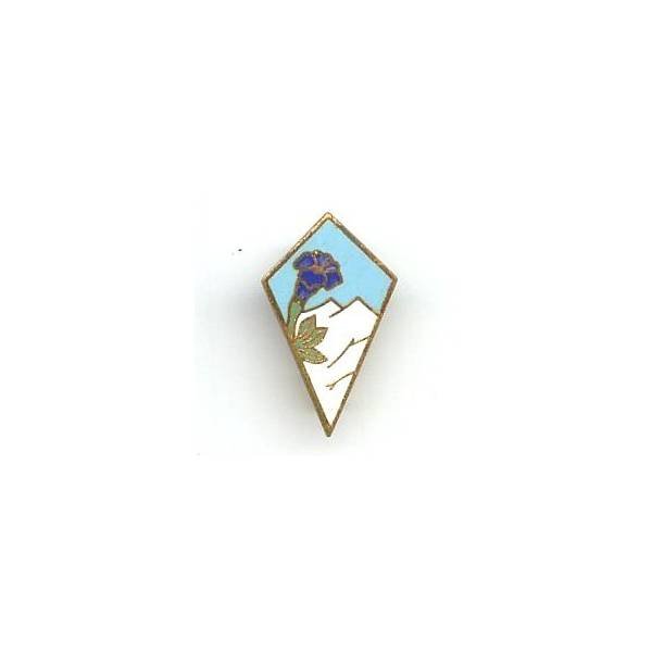 27° DI Alpine, montagne blanche, 1/2 taille 15x21