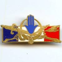 Forces Françaises en...