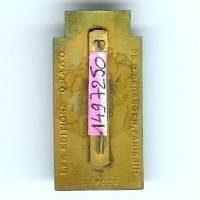 GJF 9 , "Groupement 9" , 20x41, émail, dos lisse, attache coupée