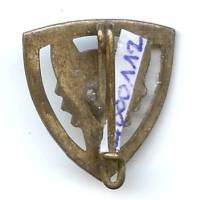 Insigne Scout, miniature 16 x 18