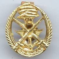 non identifié  Liban