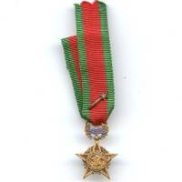 Médaille 1° Armée...