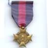 Croix des Services Militaires Volontaires, 1° type