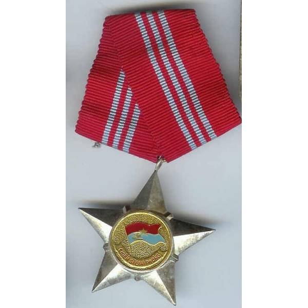 Viet-Nam, médaille en aluminium peint