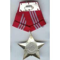 Viet-Nam, médaille en aluminium peint