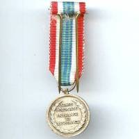 Réduction Médaille Armée polonaise en France et