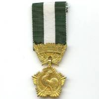 Médaille Collectivités...