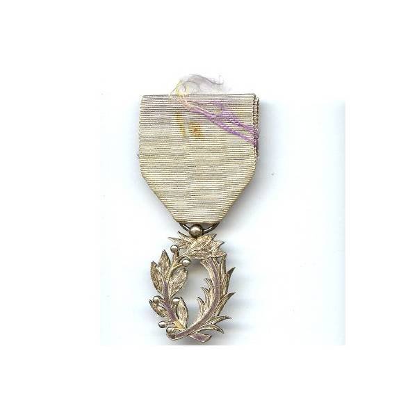 Palmes Académiques, en argent, éclat d' émail, ruban insolé