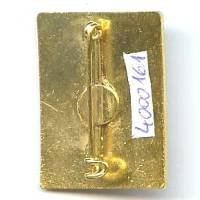 Italie, 36° Cp. Susa L’ Ardia, émail