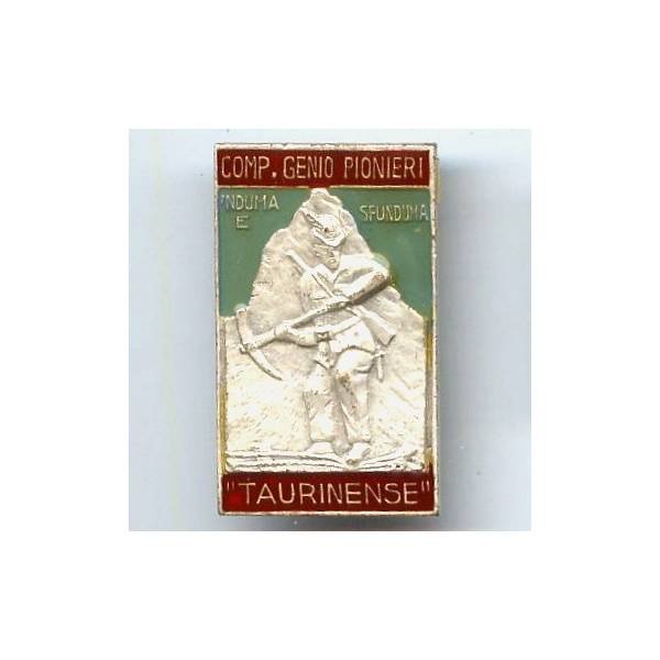 Italie, Cie de Pionniers du Génie "Taurinense", résine