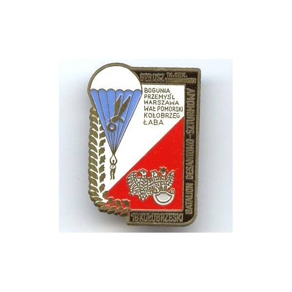 Insigne Parachutiste Polonais, peint
