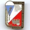 Insigne Parachutiste Polonais, peint