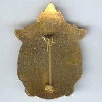 Sapeurs Pompiers Etrangers (espagnol ?) P C I, émail