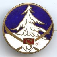 Insigne ski, sapin blanc, d...