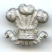 North Wales Police, insigne...