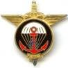 6° Régiment Parachutiste d'Infanterie de Marine , grand A, tirage 1990