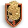Génie du Corps Expéditionnaire Français en Extrême-Orient , éclat d' émail