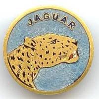 Jaguar (contre-torpilleur...
