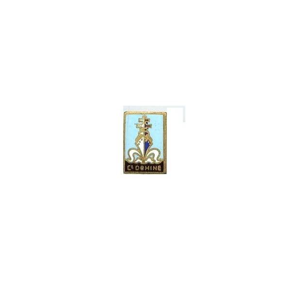 Cdt Domine (aviso-dragueur 1940-60), réduction 11x16