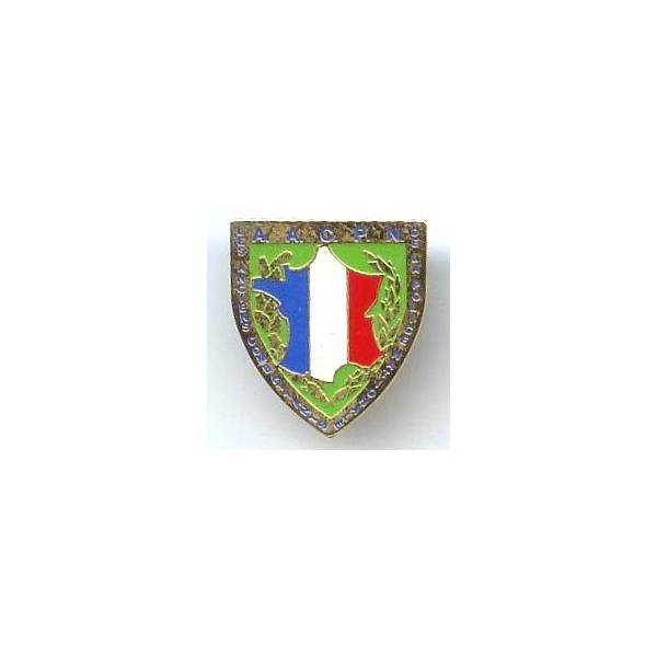 Police Nationale / Anciens Combattants, pin's, peint