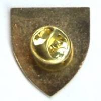 Police Nationale / Anciens Combattants, pin's, peint