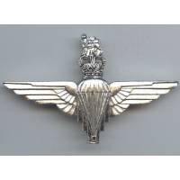 Parachute Regiment,...