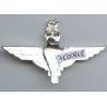 Parachute Regiment, aluminium, attache cassée