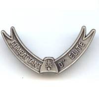 46° RI / Combattant d'...