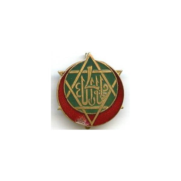 4° Régiment de Tirailleurs Tunisiens , vert fonçé, rouge translucide, patiné, éclat