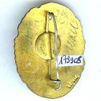 134° Régiment d'Infanterie , tête de gaulois, ovale, émail, cheveux marrons