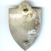 224° Régiment d'Infanterie , léopards jaunes sur blason rouge et hermines