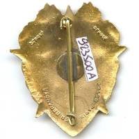 6° Régiment de Tirailleurs Marocains / 3° Bataillon de Marche en Extrême-Orient , tête de tigre et dragons
